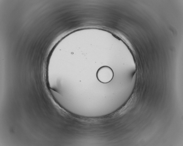 X0000112021101200909141031