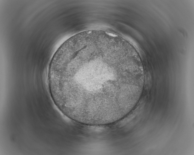 X0000112021103200909141031