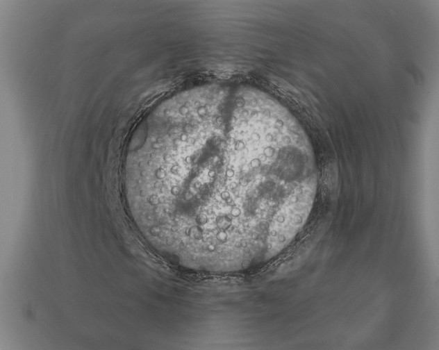 X0000112021105200909141030