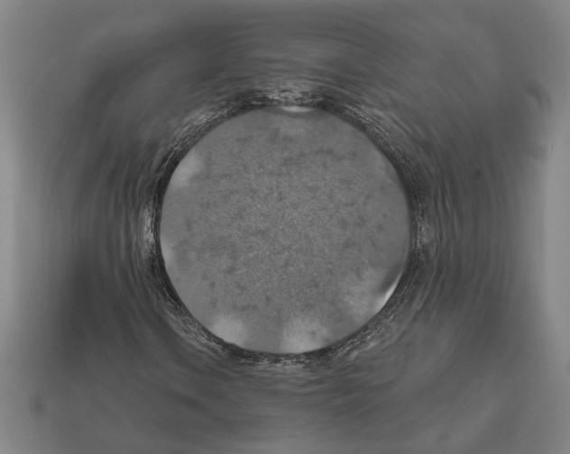 X0000112021106200909141030