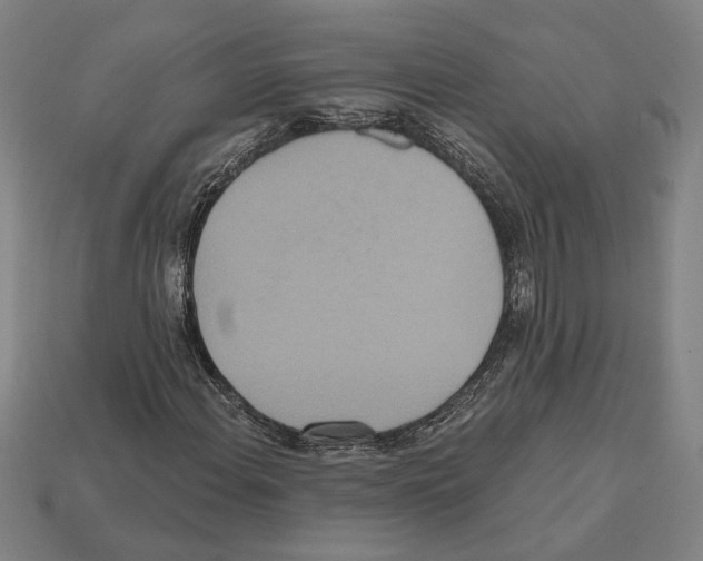 X0000112021108200909141030