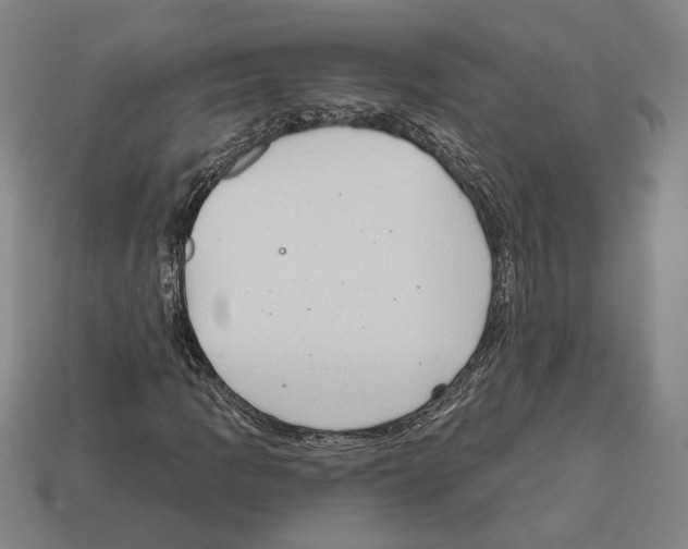 X0000112021109200909141030