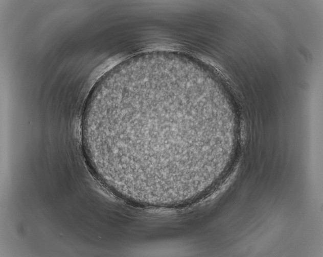 X0000112021113200909141030