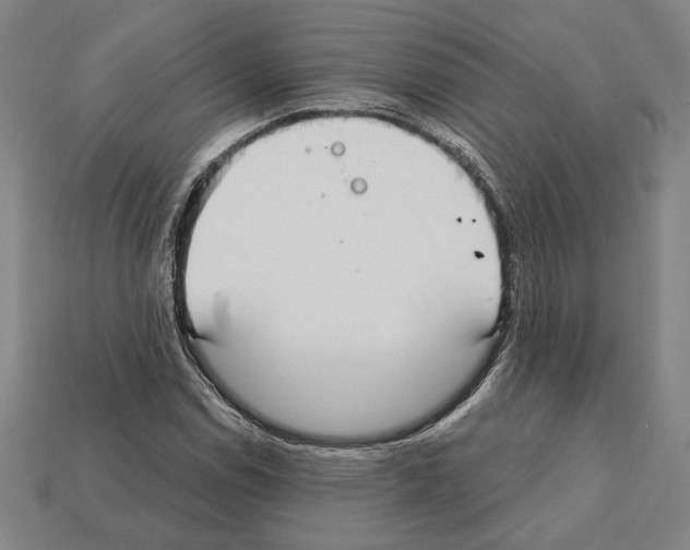 X0000112021114200909141030