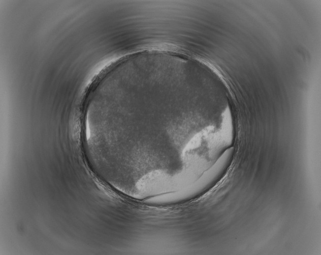 X0000112021115200909141030