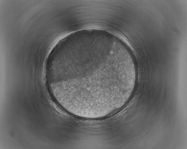 X0000112021116200909141030