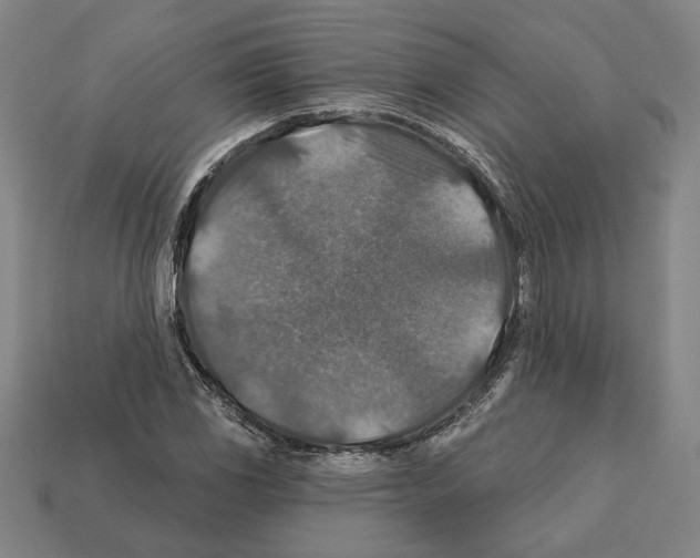 X0000112021117200909141030