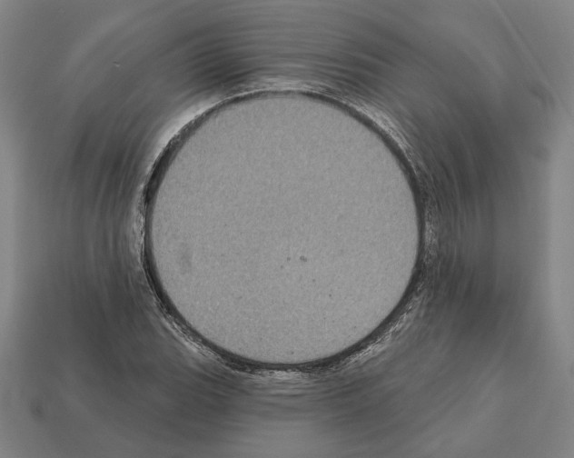 X0000112021119200909141030