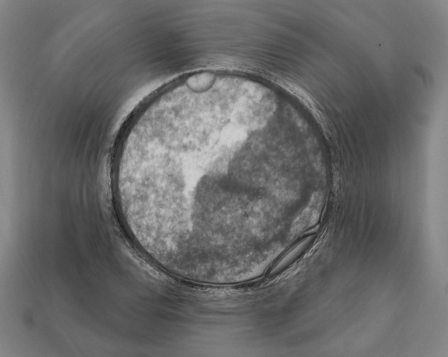 X0000112021120200909141030