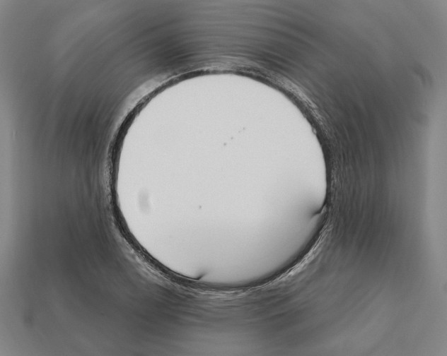 X0000112021122200909141030