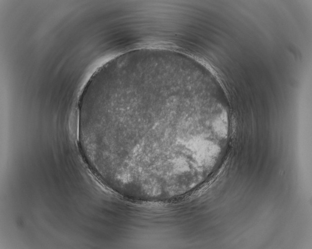 X0000112021123200909141030