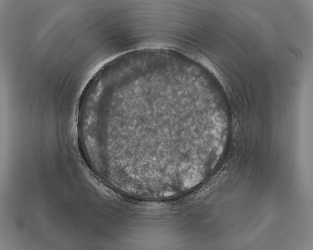 X0000112021124200909141030