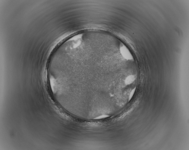 X0000112021125200909141030