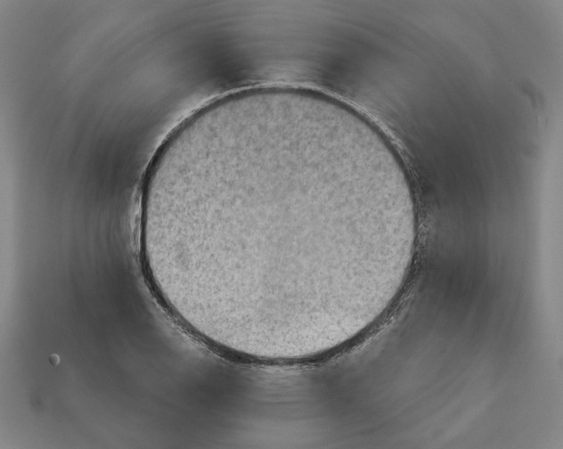 X0000112021126200909141030