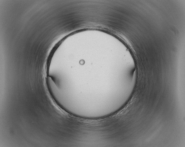 X0000112021128200909141030