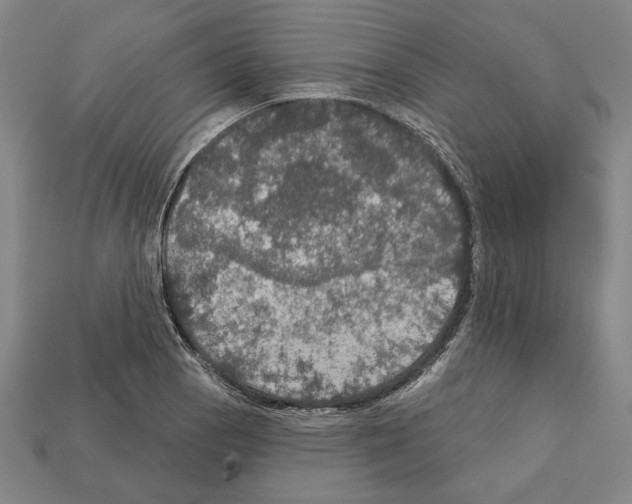 X0000112021129200909141030