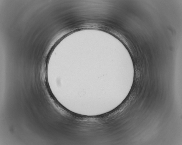 X0000112021131200909141030