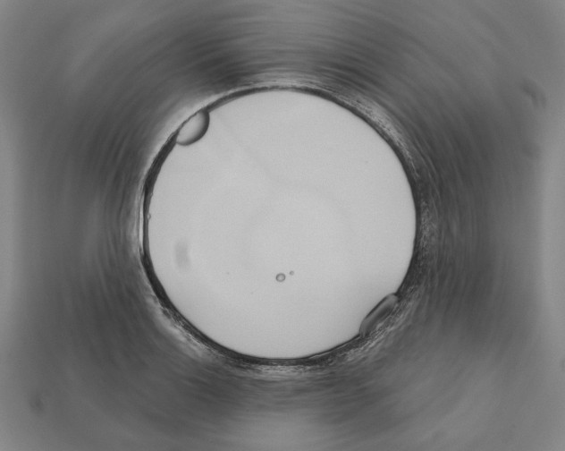 X0000112021132200909141030