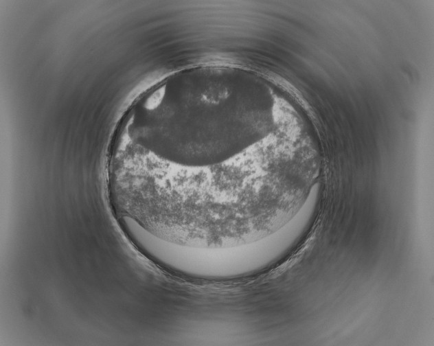 X0000112021133200909141030