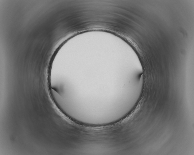 X0000112021134200909141030