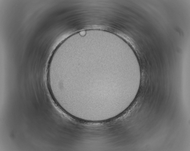 X0000112021135200909141030