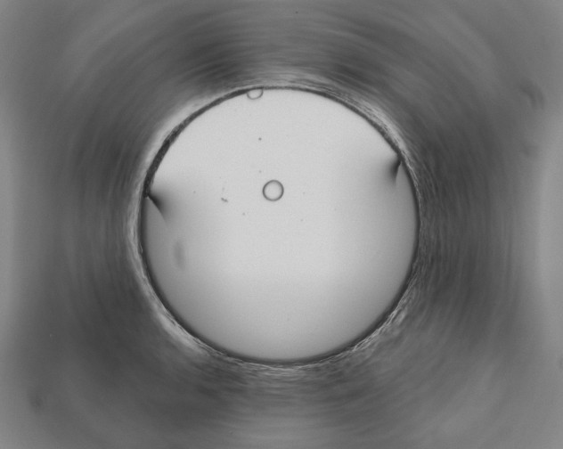 X0000112021136200909141030