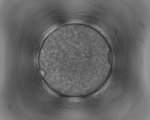 X0000112021137200909141030