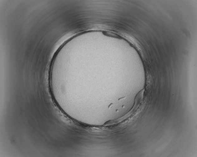 X0000112021138200909141030