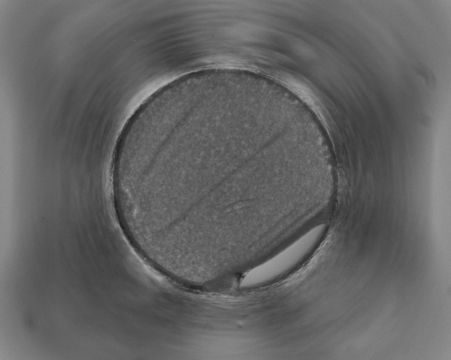 X0000112021141200909141031