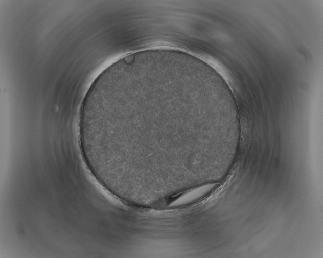 X0000112021142200909141031