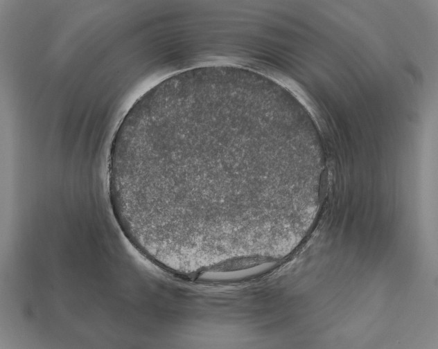 X0000112021143200909141031