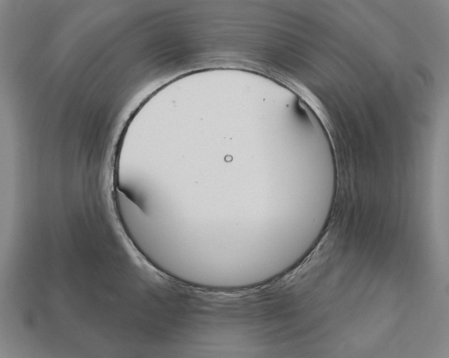 X0000112021144200909141031