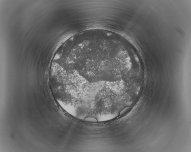 X0000112021145200909141031