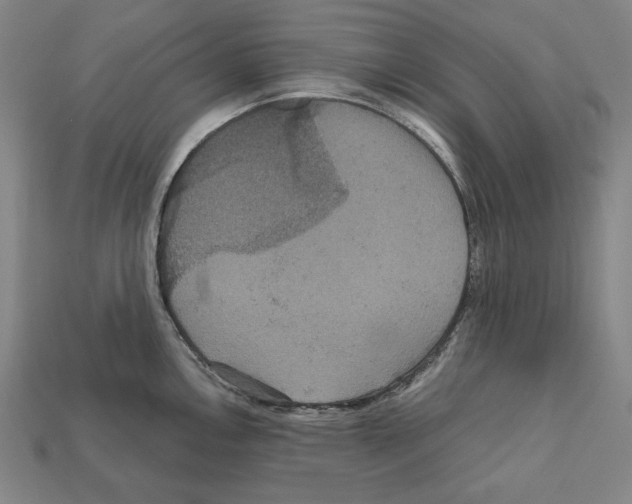 X0000112021146200909141031