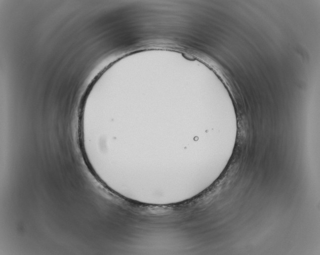 X0000112021147200909141031