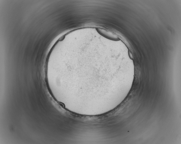 X0000112021148200909141031