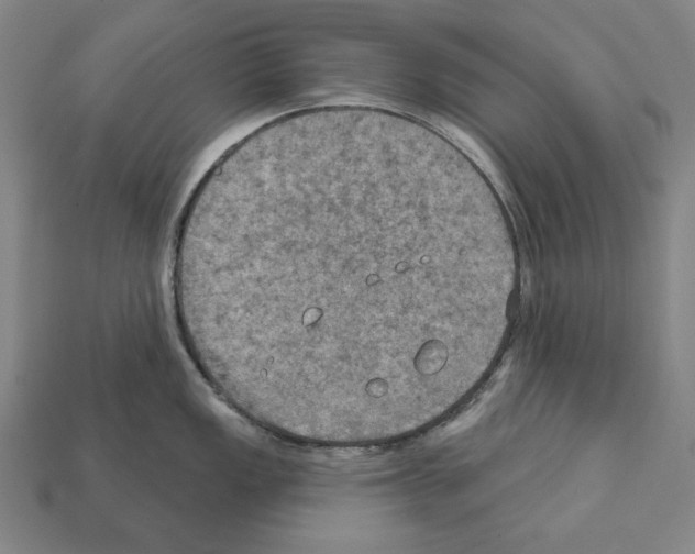 X0000112021149200909141031