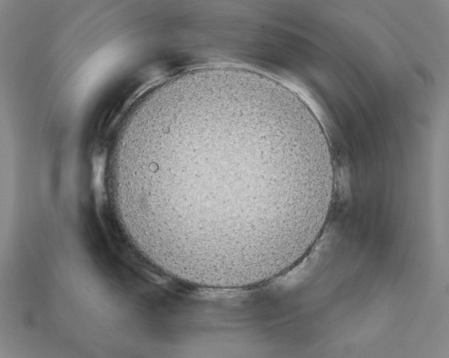 X0000112021150200909141031