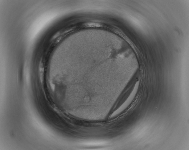 X0000112021151200909141031