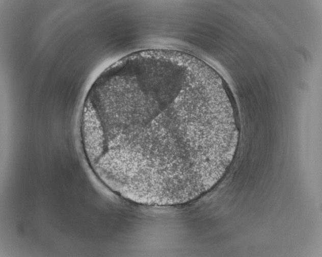 X0000112021152200909141031