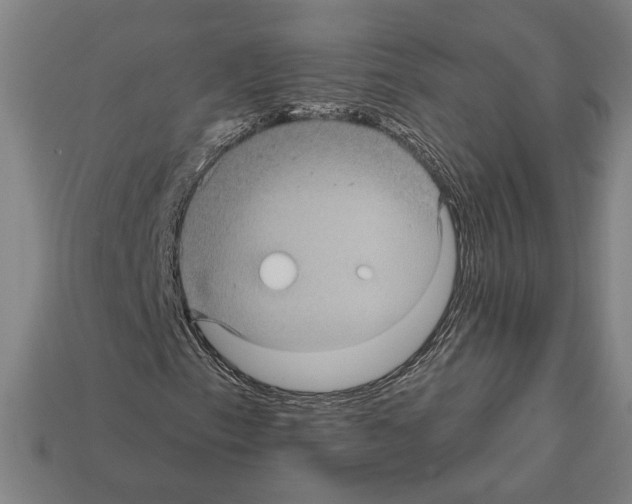 X0000112021153200909141030