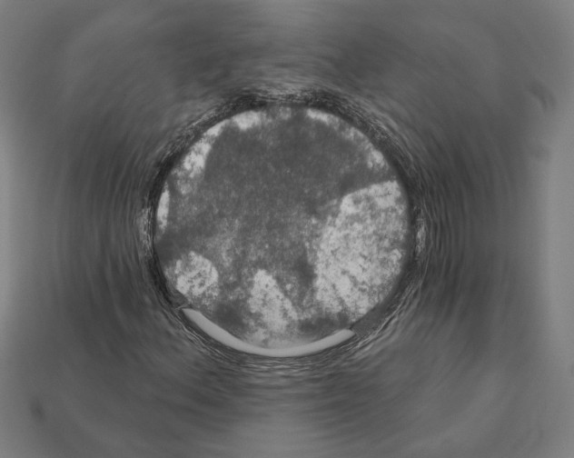 X0000112021156200909141030