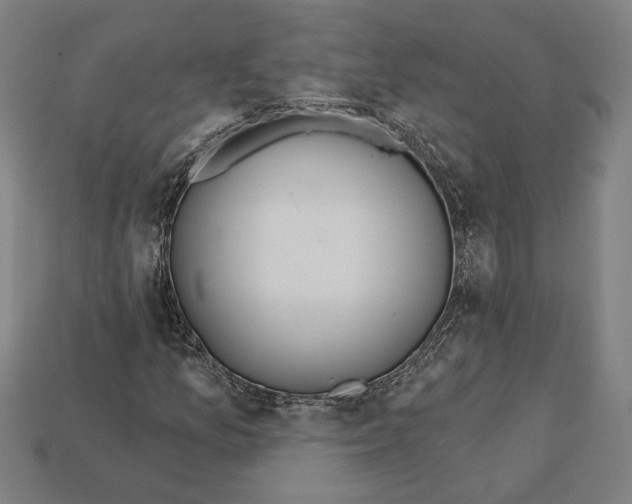 X0000112021157200909141030