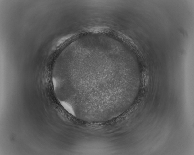 X0000112021158200909141030