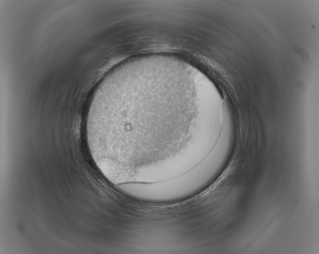 X0000112021161200909141030