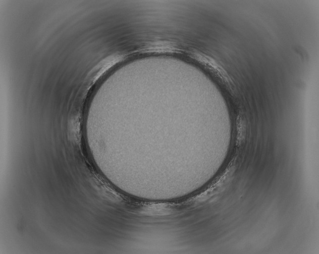 X0000112021162200909141030