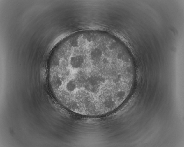 X0000112021163200909141030