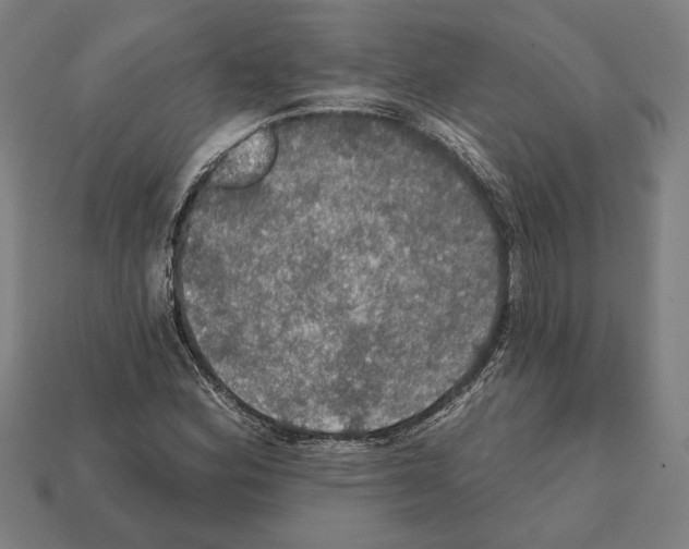 X0000112021164200909141030