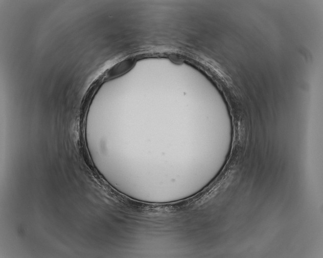 X0000112021165200909141030