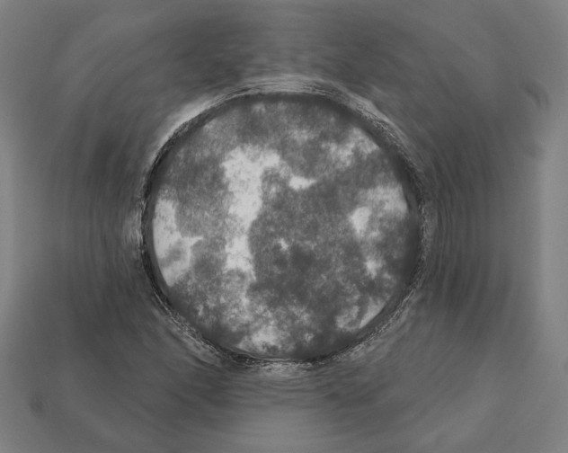 X0000112021166200909141030